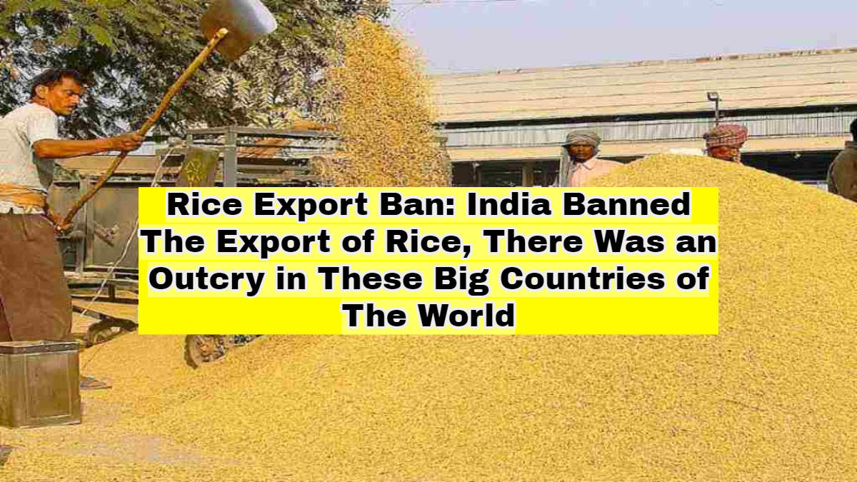 Rice Export Ban: India Banned The Export Of Rice, There Was An Outcry ...